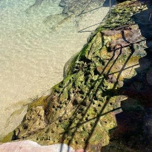 Meet your Posher, Marta